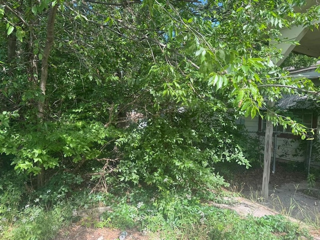 1024 C St SW, Ardmore, OK 73401 - view of nature