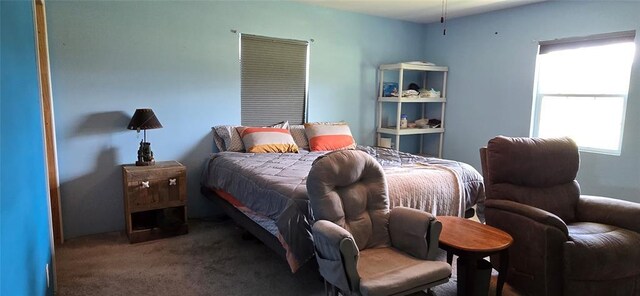 36797 N 56th Hwy, Okemah, OK 74859 - bedroom with carpet