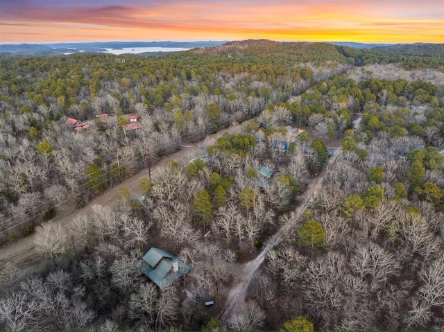 173 Alexis Ln, Broken Bow, OK 74728 - bird's eye view of a heavily wooded area