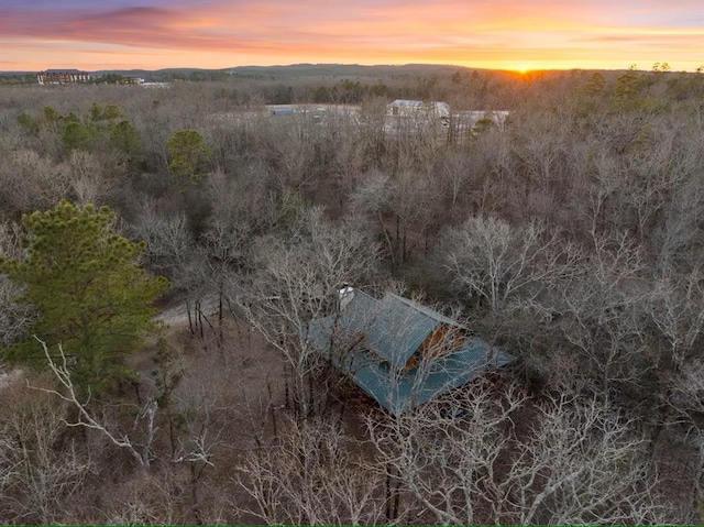 173 Alexis Ln, Broken Bow, OK 74728 - bird's eye view