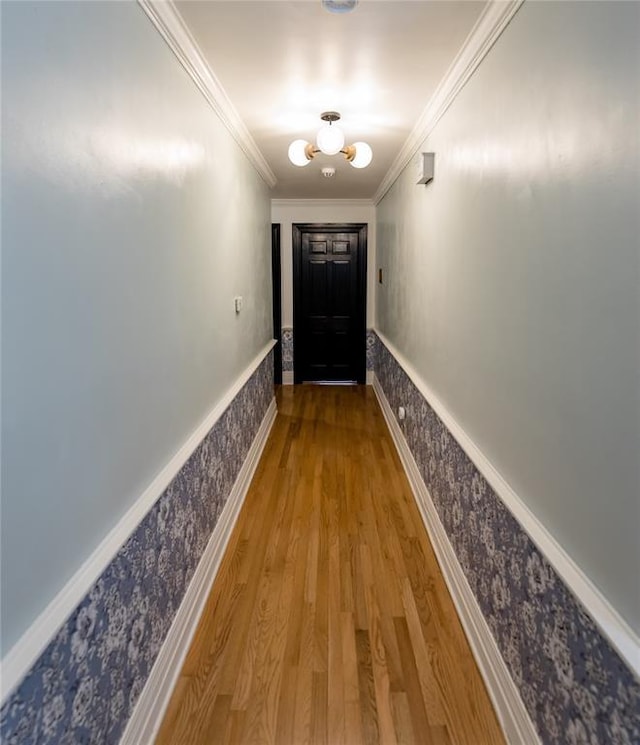 1301 W C Ave, Elk City, OK 73644 - entryway featuring a wainscoted wall, wallpapered walls, wood finished floors, and ornamental molding