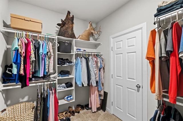 2382 County Road 1262, Blanchard, OK 73010 - spacious closet with carpet flooring