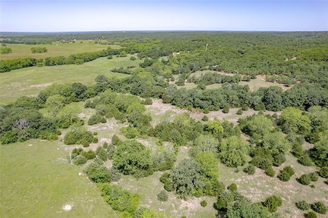 32547 Rattlesnake Hill Rd, Macomb, OK 74852 - photo 31