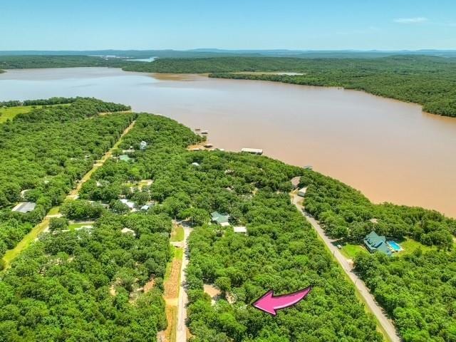 332 Royal Ln, Canadian, OK 74425 - bird's eye view of a large body of water and a heavily wooded area