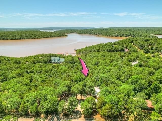 332 Royal Ln, Canadian, OK 74425 - aerial view of a forest and a nearby body of water