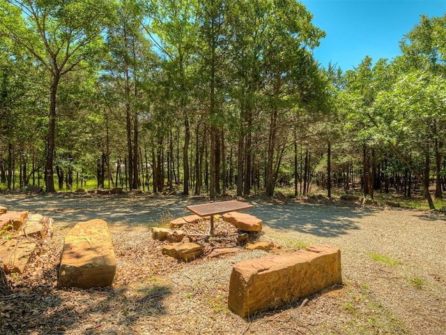 332 Royal Ln, Canadian, OK 74425 - view of yard