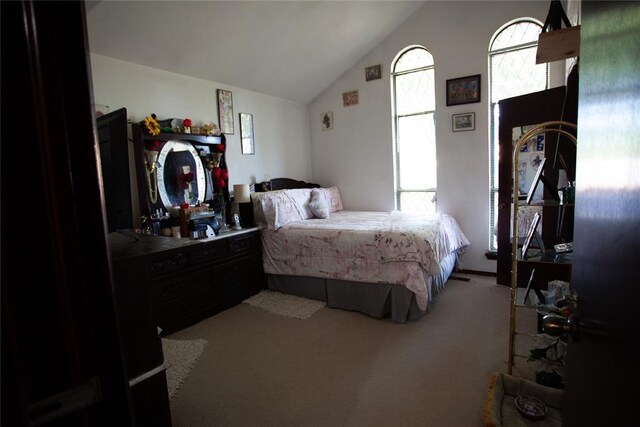 11332 Cimarron Dr, Oklahoma City, OK 73162 - bedroom featuring vaulted ceiling and carpet flooring