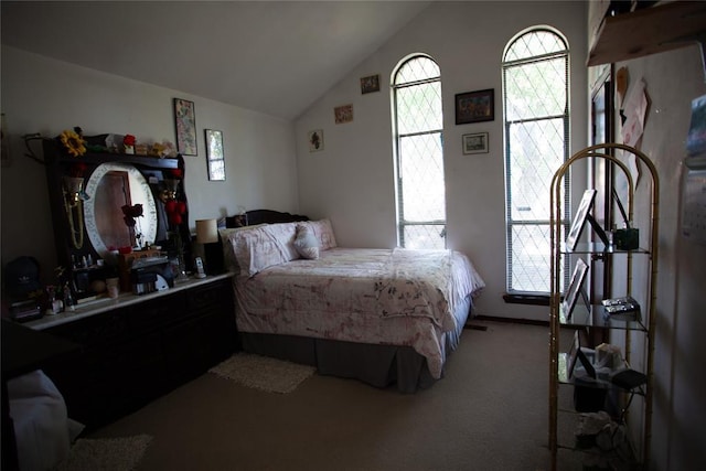 11332 Cimarron Dr, Oklahoma City, OK 73162 - carpeted bedroom with vaulted ceiling and multiple windows