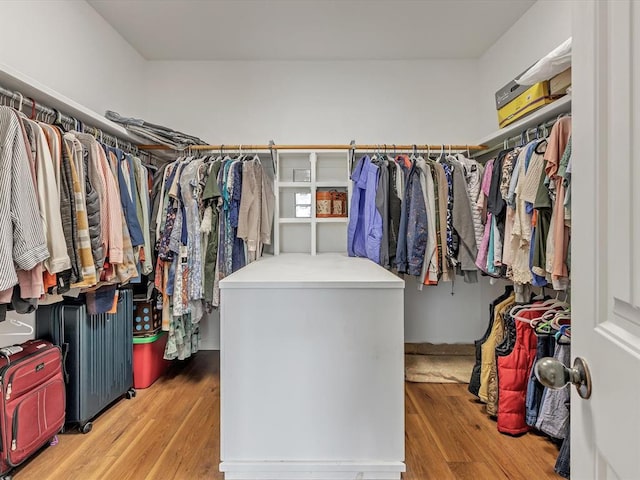 20486 Cypress Way, Tecumseh, OK 74873 - spacious closet with light wood-type flooring