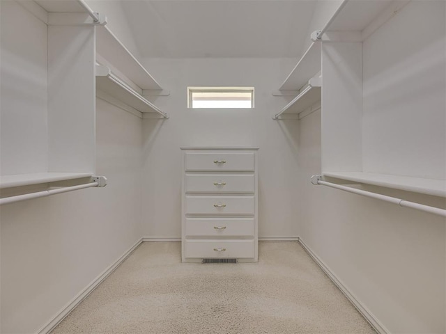 8413 NW 64th Ter, Oklahoma City, OK 73132 - view of spacious closet