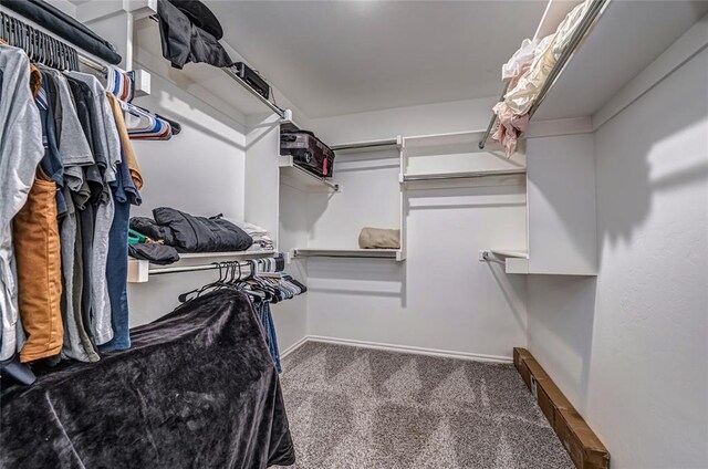 8516 Gibbs Dr, Oklahoma City, OK 73135 - walk in closet with carpet