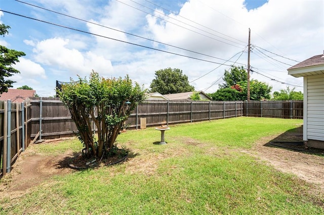 4333 NW 55th St, Oklahoma City, OK 73112 - view of yard