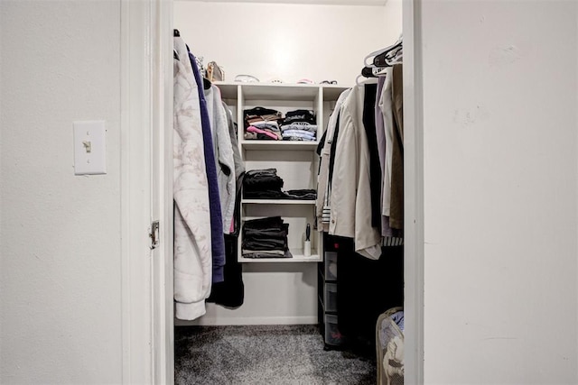 809 Cardinal Creek Blvd, Norman, OK 73072 - walk in closet featuring carpet