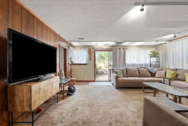 5712 NW 34th St, Oklahoma City, OK 73122 - living room with rail lighting, light carpet, and wood walls