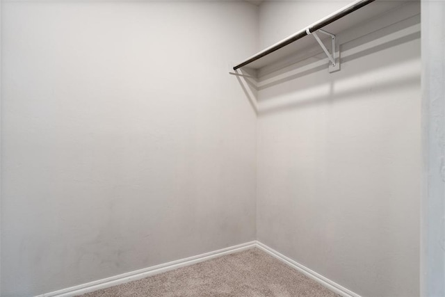 11325 SW 34th Ter, Yukon, OK 73099 - walk in closet featuring carpet flooring