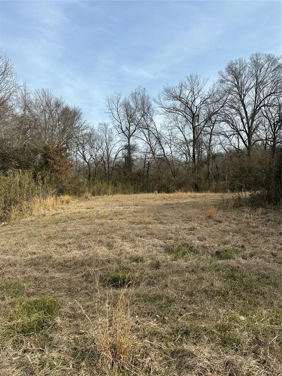 1231 Pleasant Hill Rd, Haworth, OK 74740