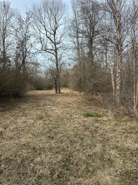1231 Pleasant Hill Rd, Haworth, OK 74740