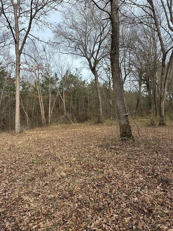 1231 Pleasant Hill Rd, Haworth, OK 74740