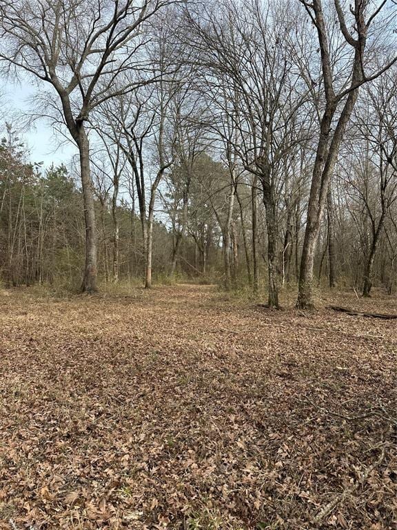 1231 Pleasant Hill Rd, Haworth, OK 74740