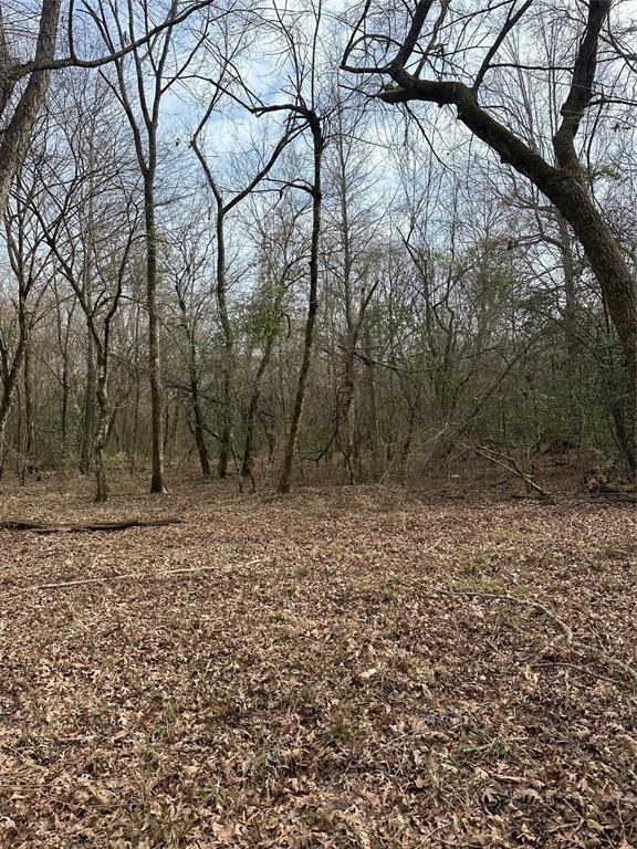 1231 Pleasant Hill Rd, Haworth, OK 74740