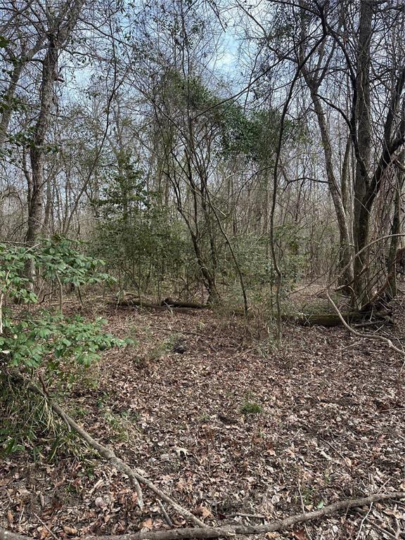 1231 Pleasant Hill Rd, Haworth, OK 74740