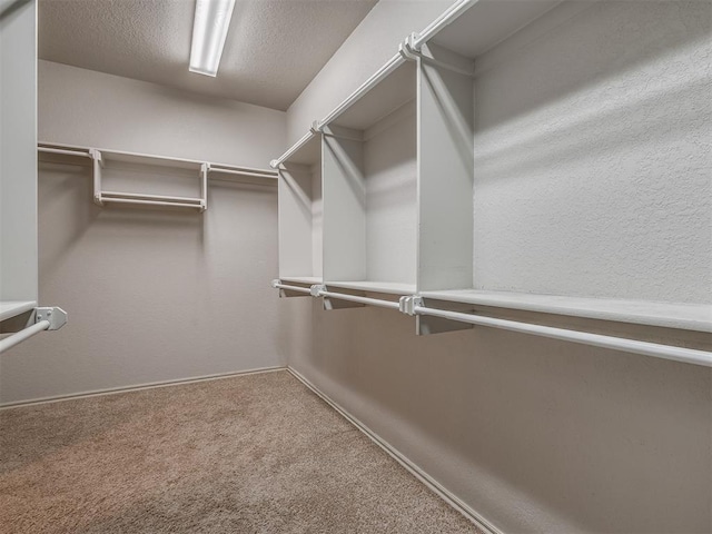 4033 NE 138th St, Edmond, OK 73013 - walk in closet with carpet