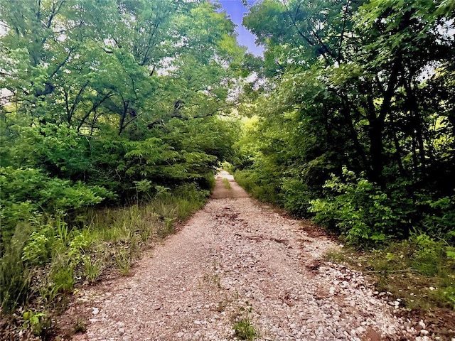 36578 Ns 3500th St, Konawa, OK 74849 - view of street with a wooded view