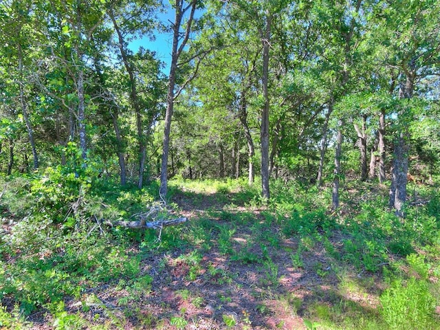 Victory Ln Lot 21, 22, Luther, OK 73054
