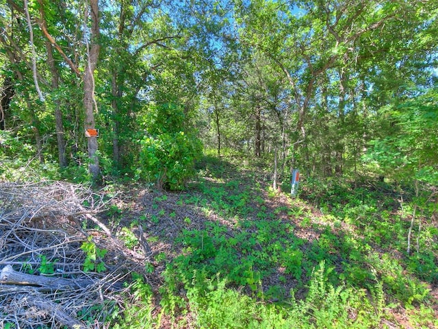 Victory Ln Lot 21, 22, Luther, OK 73054