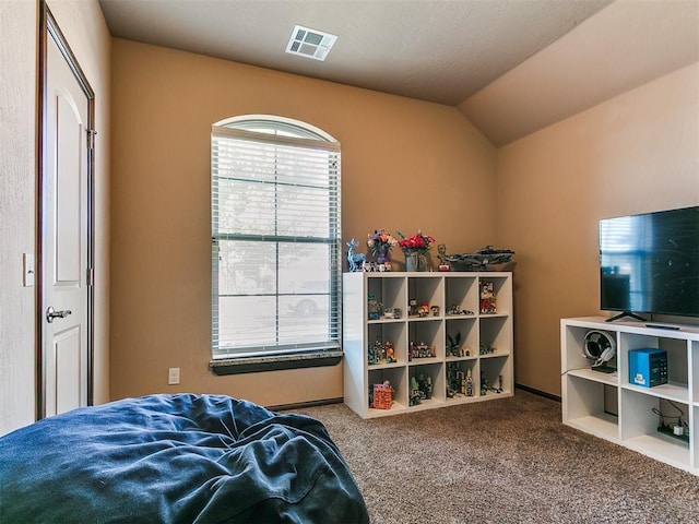 17016 Barcelona Dr, Oklahoma City, OK 73170 - bedroom featuring carpet floors and lofted ceiling