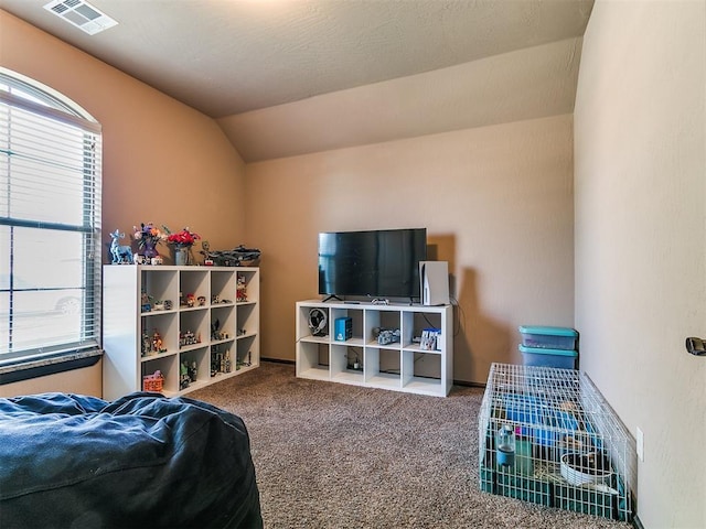 17016 Barcelona Dr, Oklahoma City, OK 73170 - carpeted bedroom with lofted ceiling