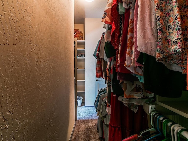 17016 Barcelona Dr, Oklahoma City, OK 73170 - walk in closet with carpet flooring