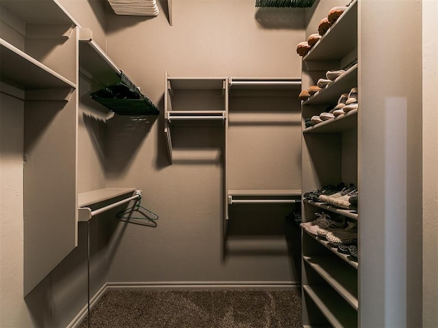 4216 SE 86th Pl, Oklahoma City, OK 73135 - spacious closet with carpet flooring