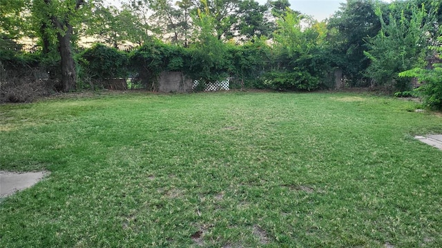 929 NE 21st St, Oklahoma City, OK 73105 - view of green lawn