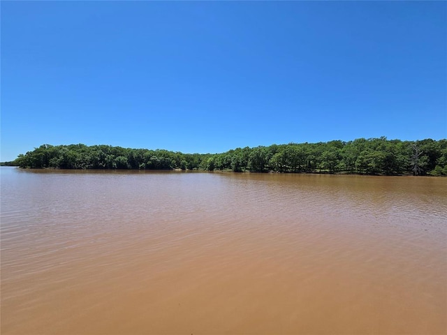 110534 S 4183rd Rd, Checotah, OK 74426 - water view with a forest