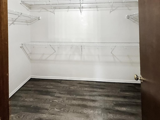 3105 SW 104th Ter, Oklahoma City, OK 73159 - spacious closet featuring wood finished floors