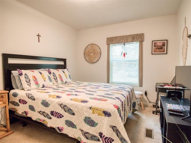920245 S 3300th Rd, Wellston, OK 74881 - view of carpeted bedroom
