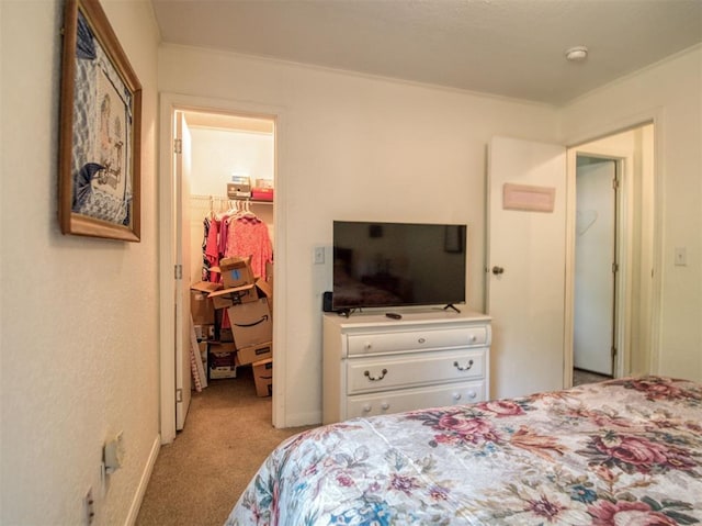 920245 S 3300th Rd, Wellston, OK 74881 - bedroom featuring a spacious closet, carpet floors, and a closet