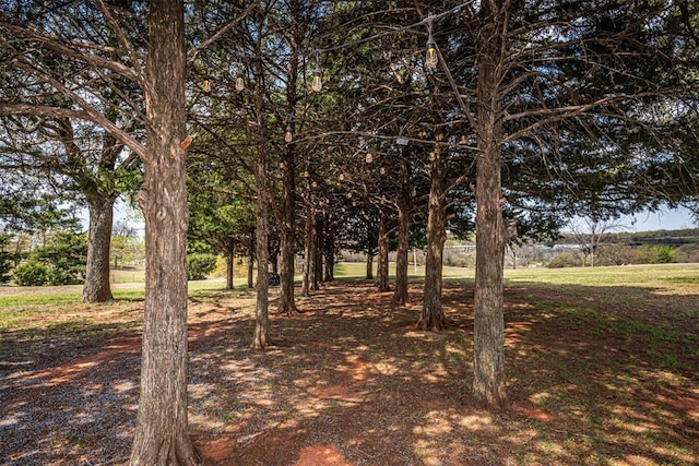 18800 NE 122nd St, Jones, OK 73049 - view of yard