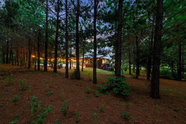 2690 Sweet Home Rd, Broken Bow, OK 74728 - view of yard