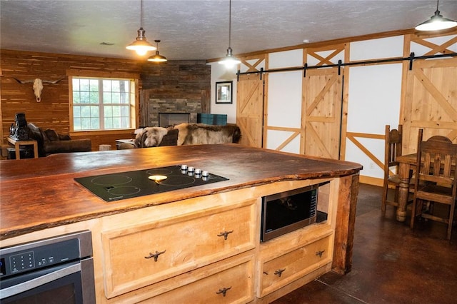 16301 Lewis Rd, Lexington, OK 73051 - kitchen with appliances with stainless steel finishes, finished concrete floors, a barn door, a textured ceiling, and decorative light fixtures