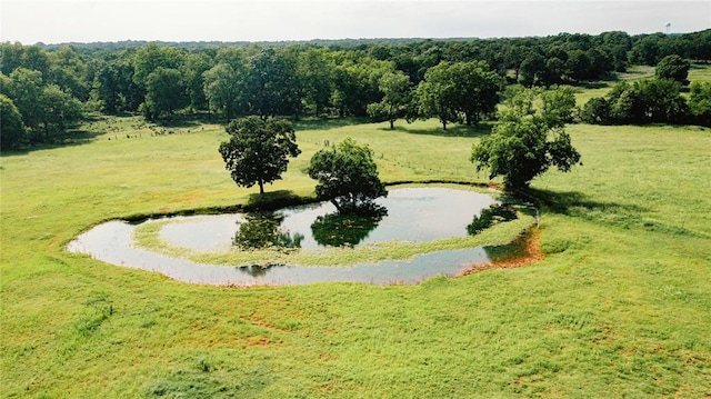16301 Lewis Rd, Lexington, OK 73051 - bird's eye view of a nearby body of water