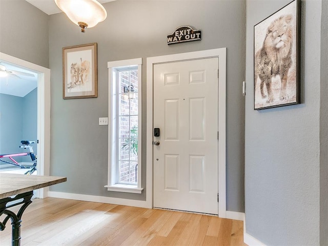 4409 Newport Dr, Norman, OK 73072 - entrance foyer with light wood finished floors, a ceiling fan, and baseboards