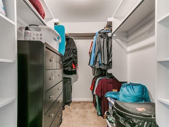 4409 Newport Dr, Norman, OK 73072 - walk in closet featuring light colored carpet