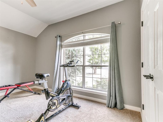 4409 Newport Dr, Norman, OK 73072 - exercise area featuring baseboards, carpet flooring, and vaulted ceiling