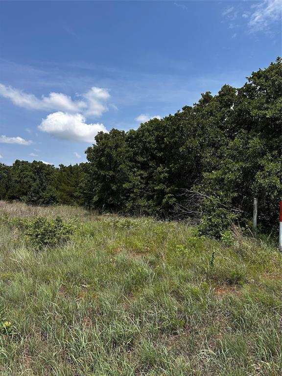 State Highway 39, Dibble, OK 73010