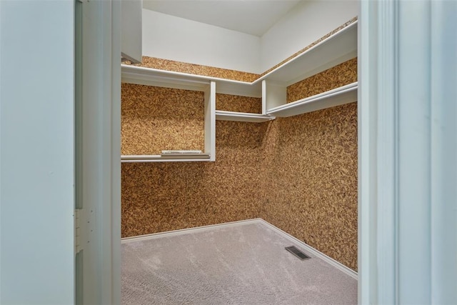 15005 Dourdan Ct, Oklahoma City, OK 73142 - walk in closet featuring carpet floors