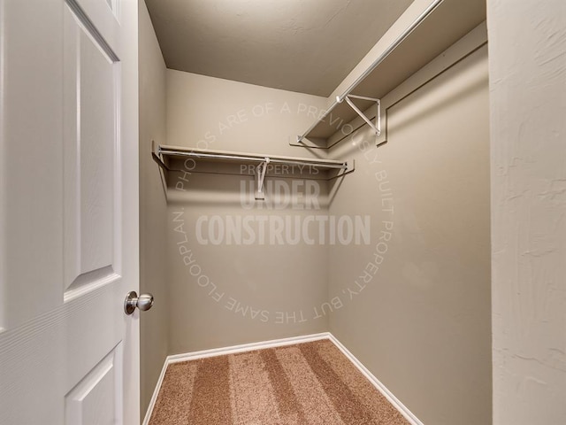 3909 S Ravine St, Stillwater, OK 74074 - spacious closet featuring carpet floors