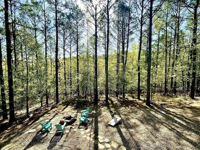 192 Grape Trl, Broken Bow, OK 74728 - view of undeveloped land