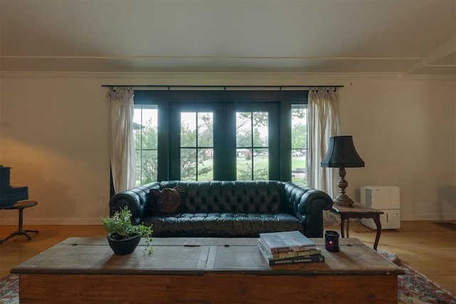 300 E Federal St, Shawnee, OK 74804 - living room with baseboards, plenty of natural light, wood finished floors, and crown molding